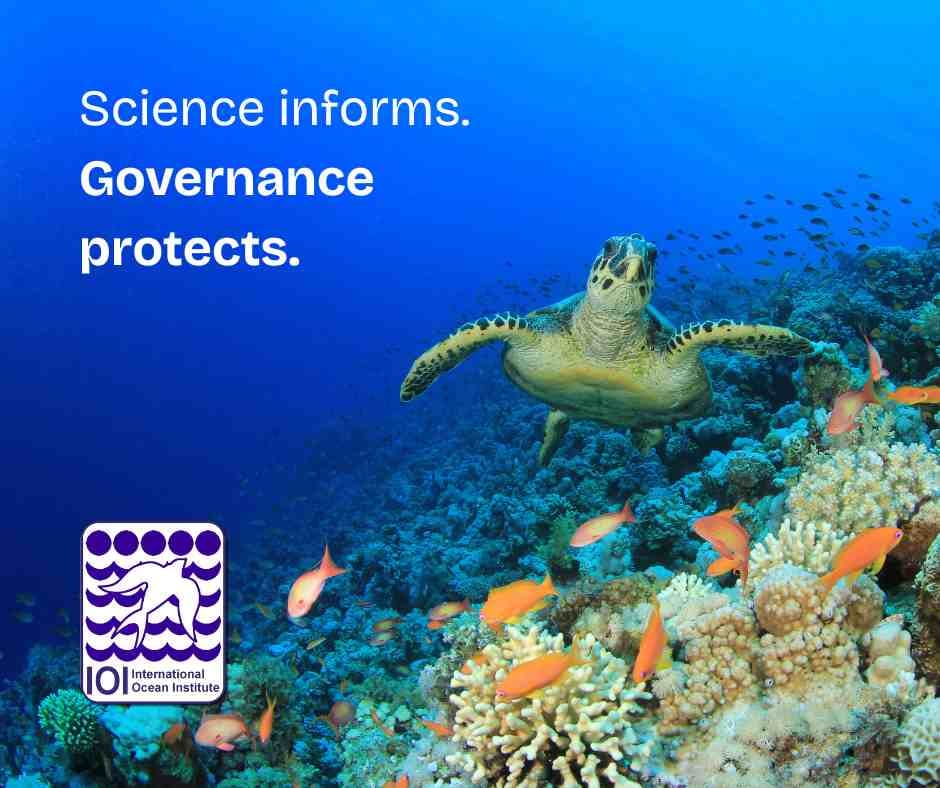 From Vision to Responsibility: Advancing Ocean Governance Beyond National Jurisdiction