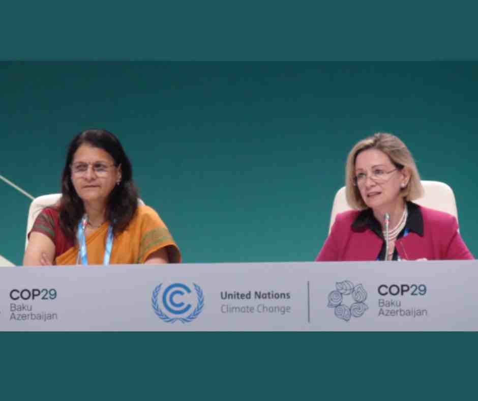IOI representative attends the 29th Conference of the Parties to the UN Framework Convention on Climate Change (COP29) in Baku, Azerbaijan