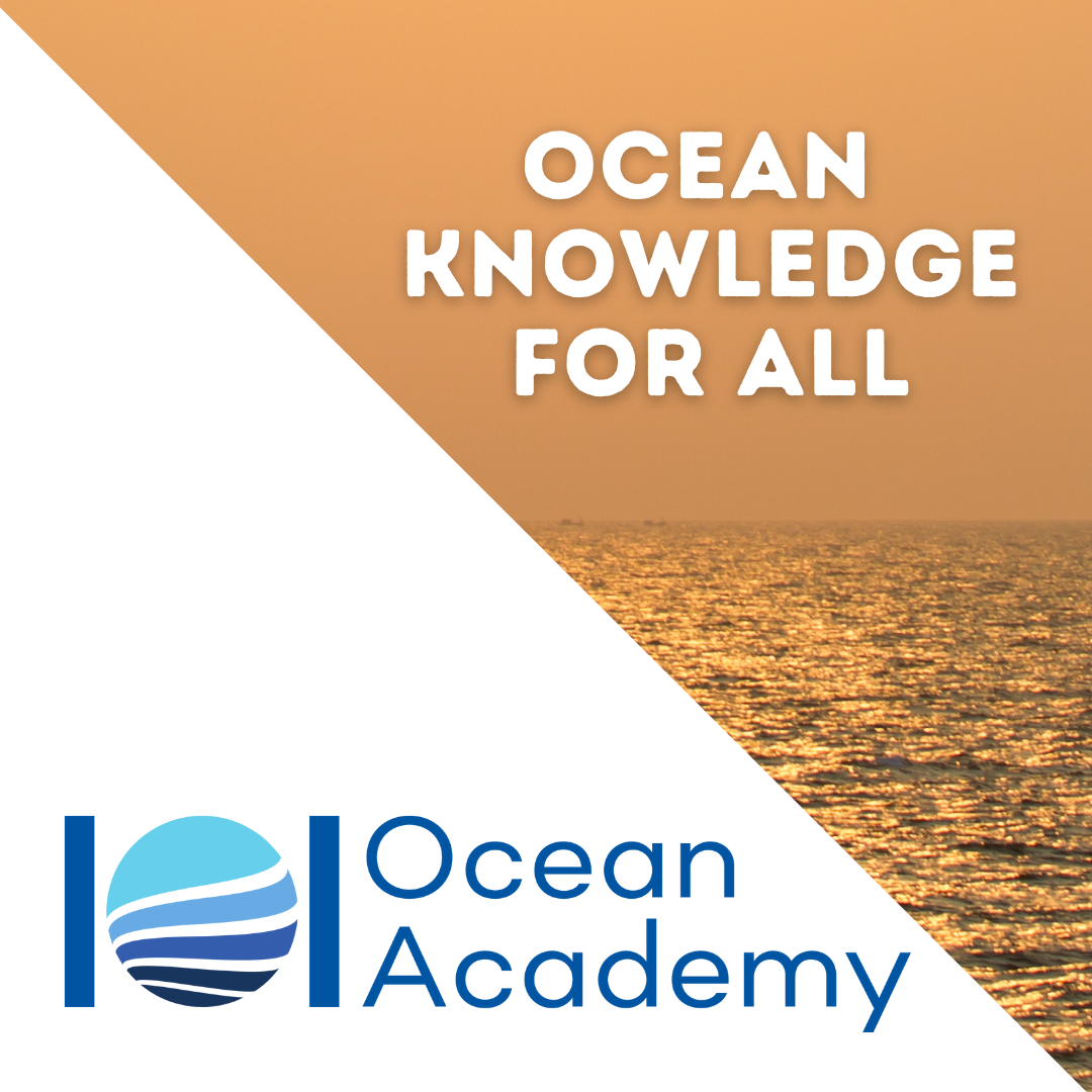 IOI Ocean Academy Programmes in 2023