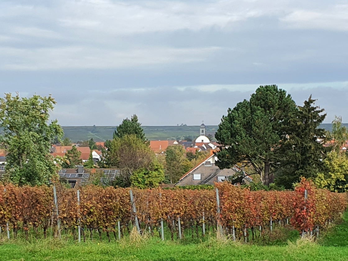 Toskana der Pfalz