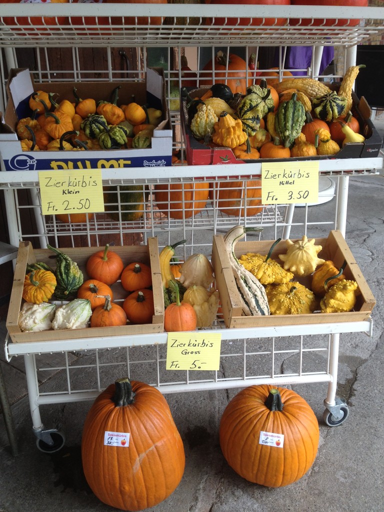 Zierkürbis