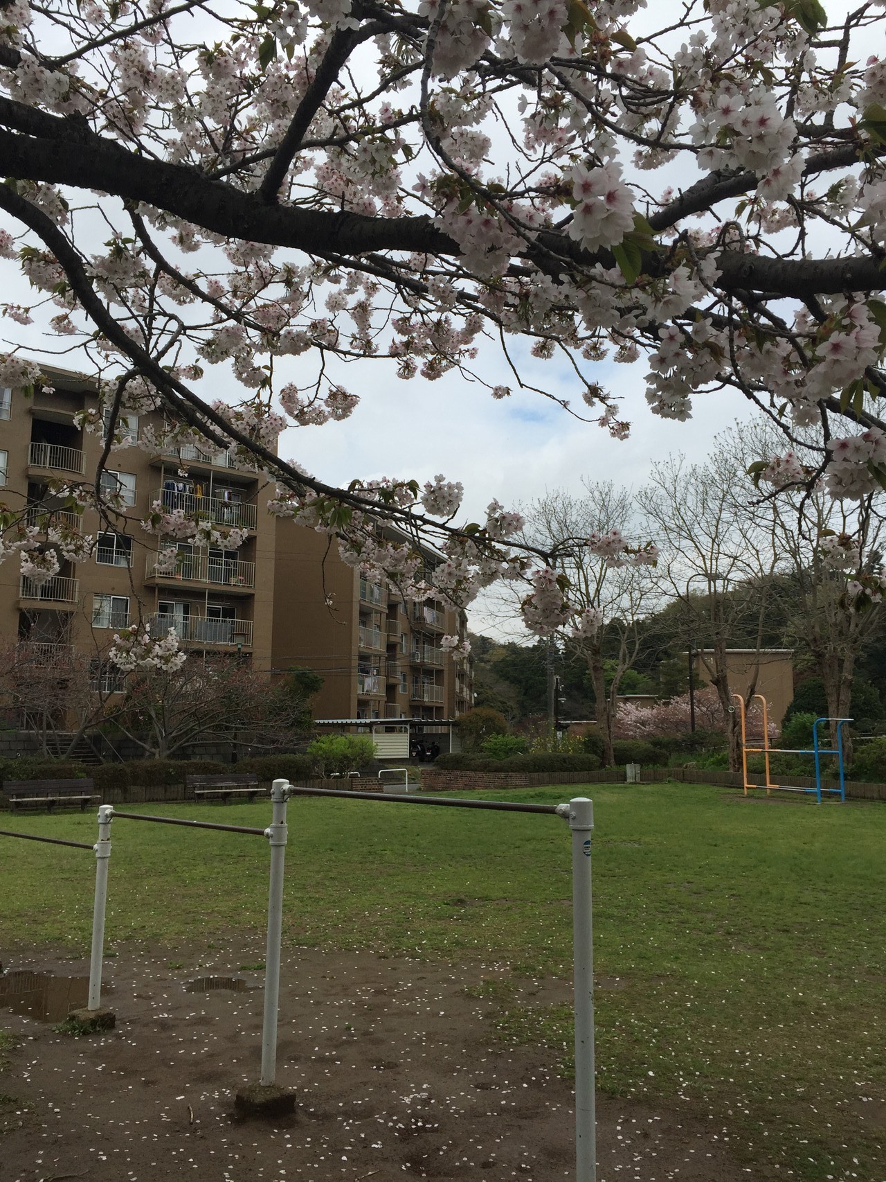 国交省モデル事業：鎌倉の団地ブランディング事業がいよいよスタートです。