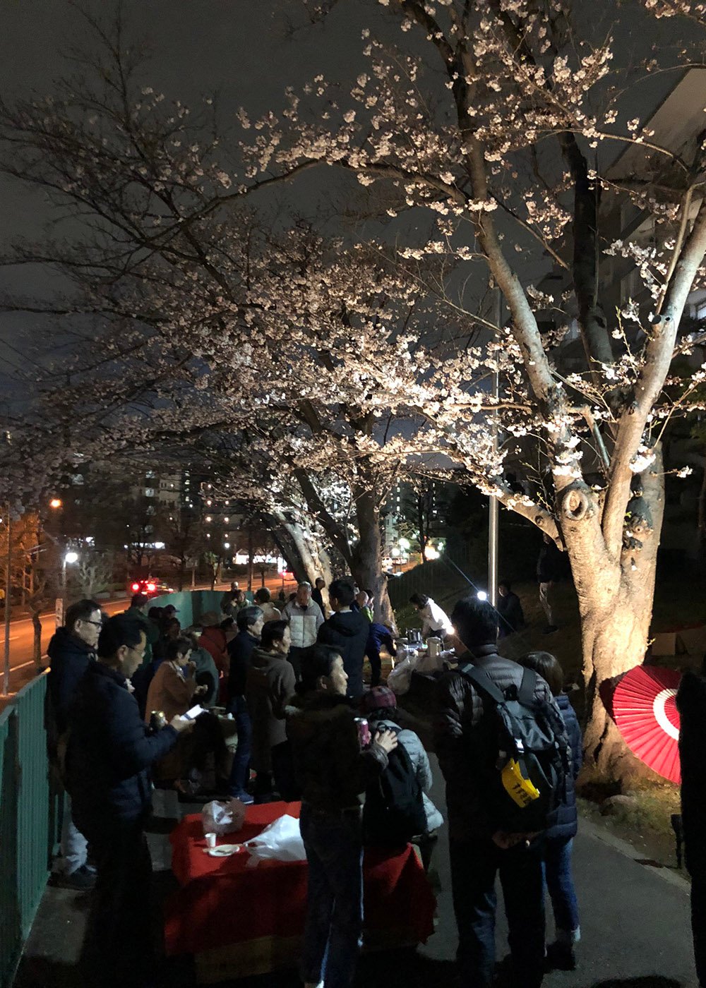 ２０１９　すすき野団地花見