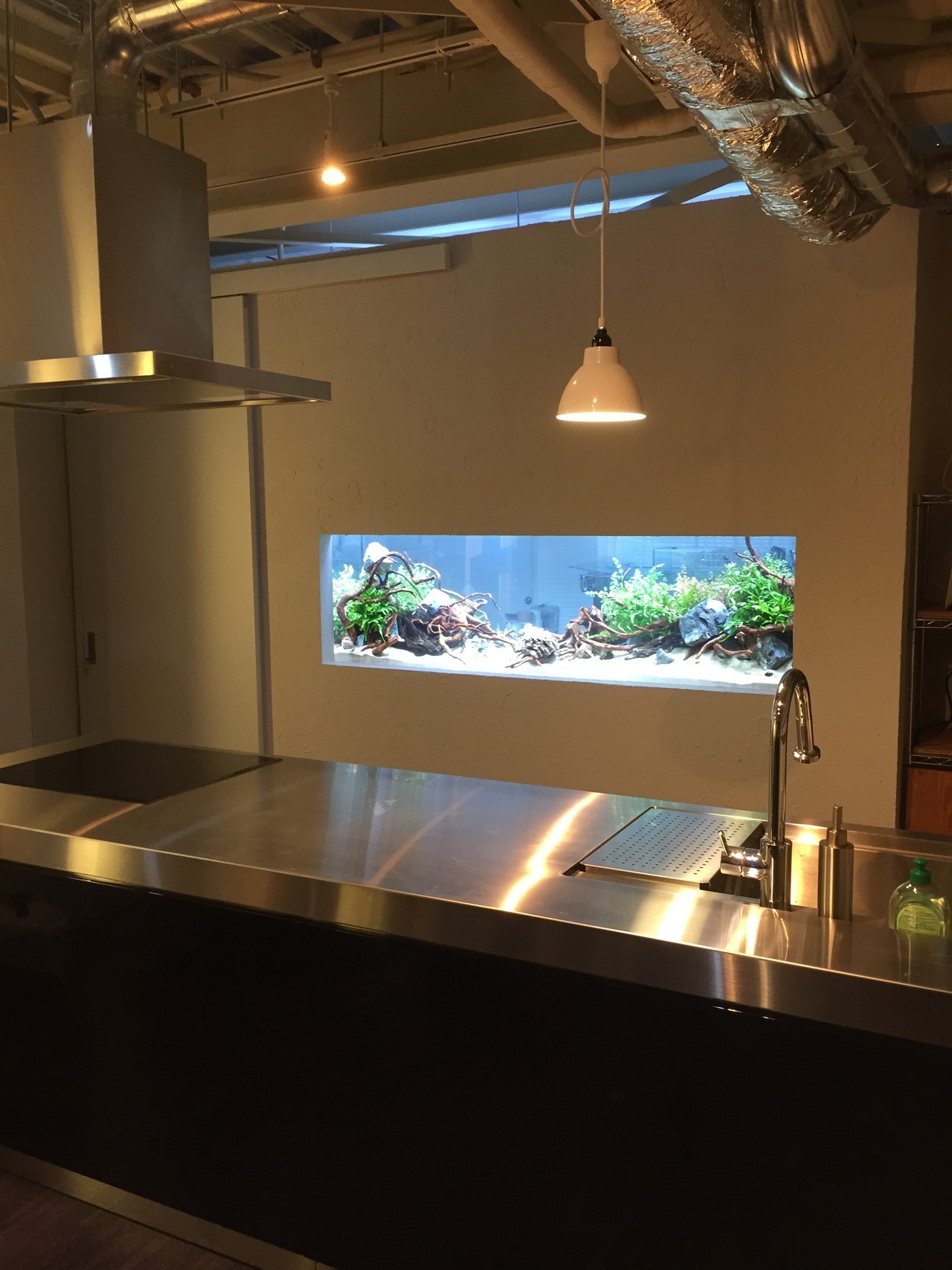中野のキッチンスタジオが完成しました。正面の壁には、大きな水槽が組み込まれています。