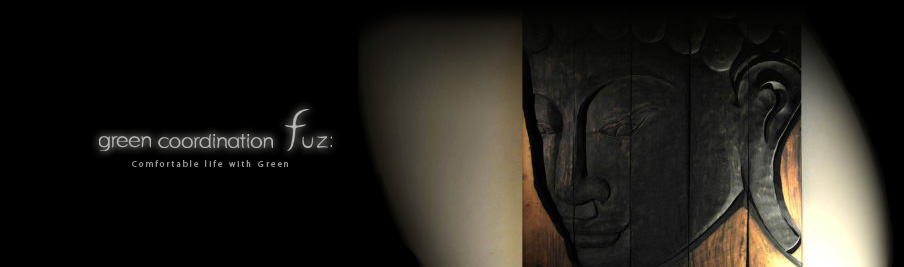 green coordination fuz:　フズ