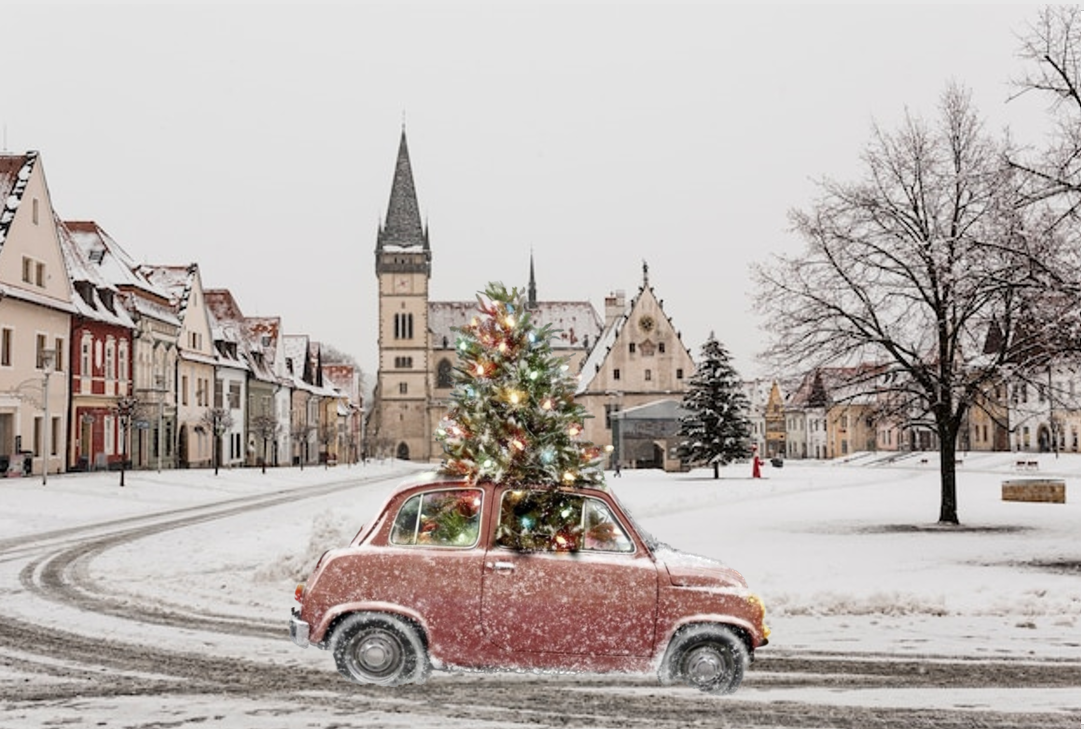 Weihnachtsbaum transportieren