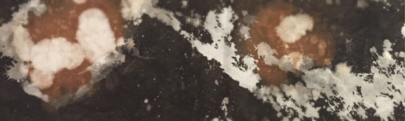 1517719708 ページ！