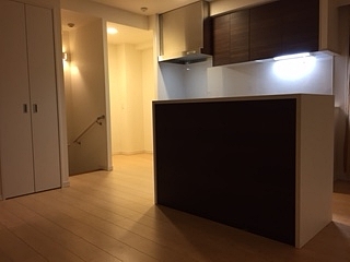 ダストボックスを隠したり、小さなアイランドはなにかと便利^^