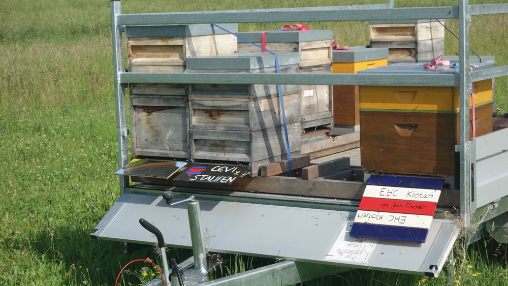 Die Patenvölker mit den individuell gestalteten Flugbrettern.