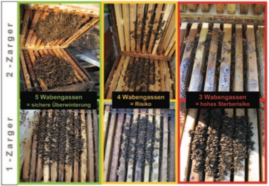 Vergleich der Volksstärke