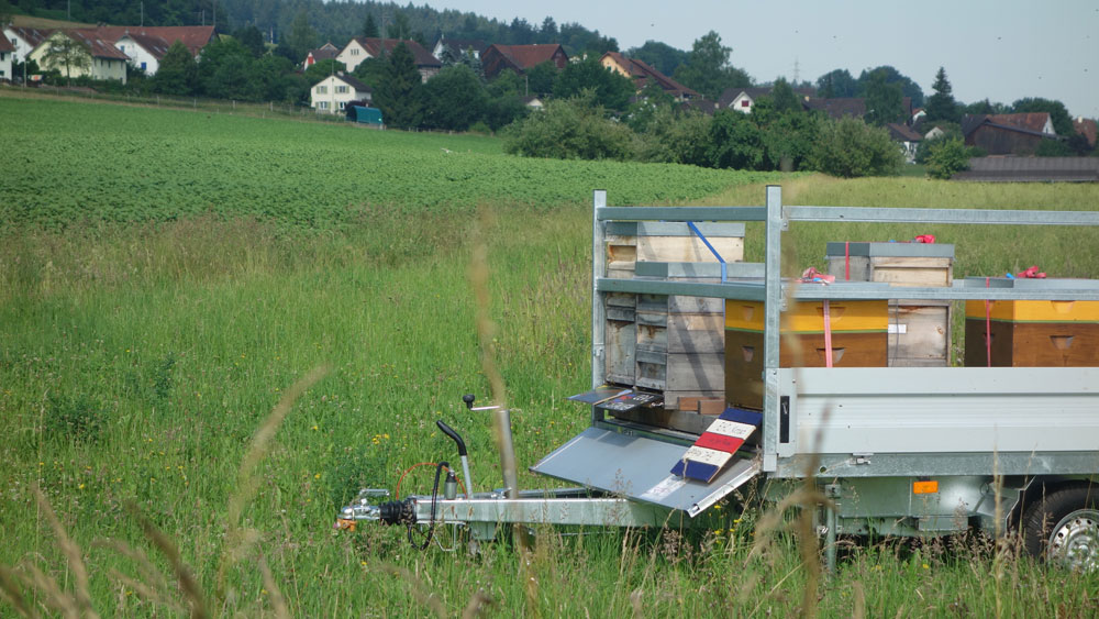 Der Blick zum Dorf Thalheim.