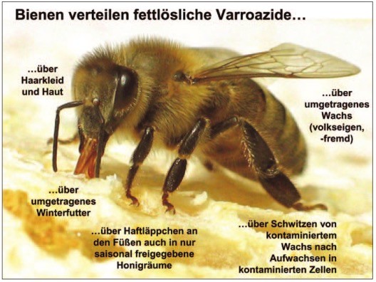 Fettlösliche Varroazide