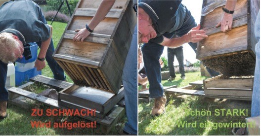 Beurteilung Volksstärke