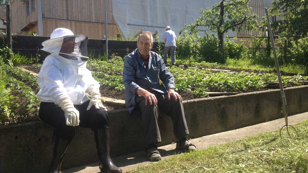 Trudi beim Einfangen eines Schwarms.