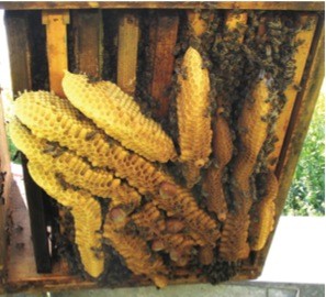 Drohnenbau im hohen Boden.