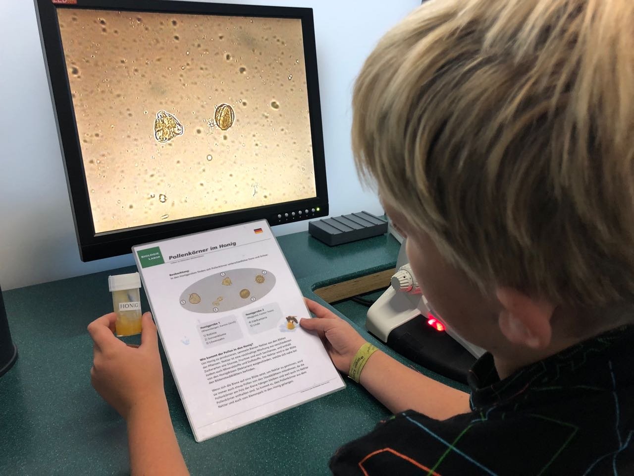 ... und mit der Vorlage abgeglichen.