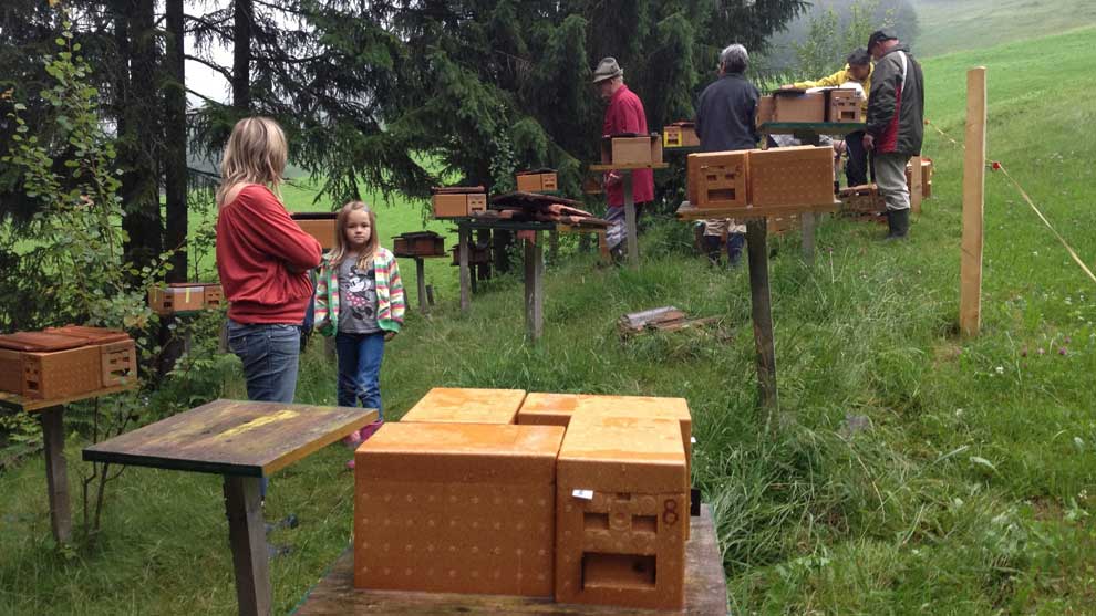 Daniela und Julia bringen junge Königinnen auf die Belegstation Schuflenberg.