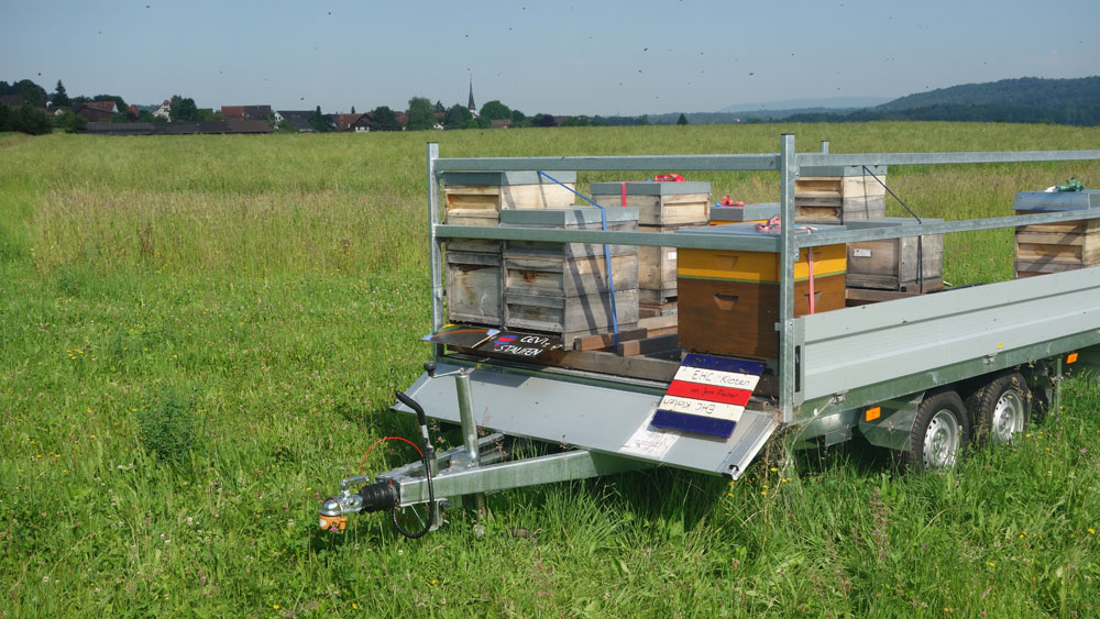 Es herrscht reger Flugverkehr!