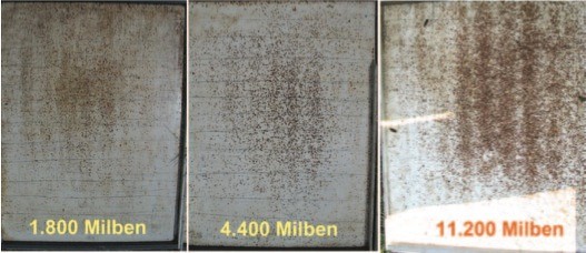 Milbenfall schätzen