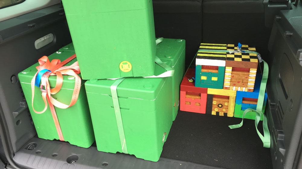 15 kleine Bienenvölker mit je einer Jungfrau-Königin