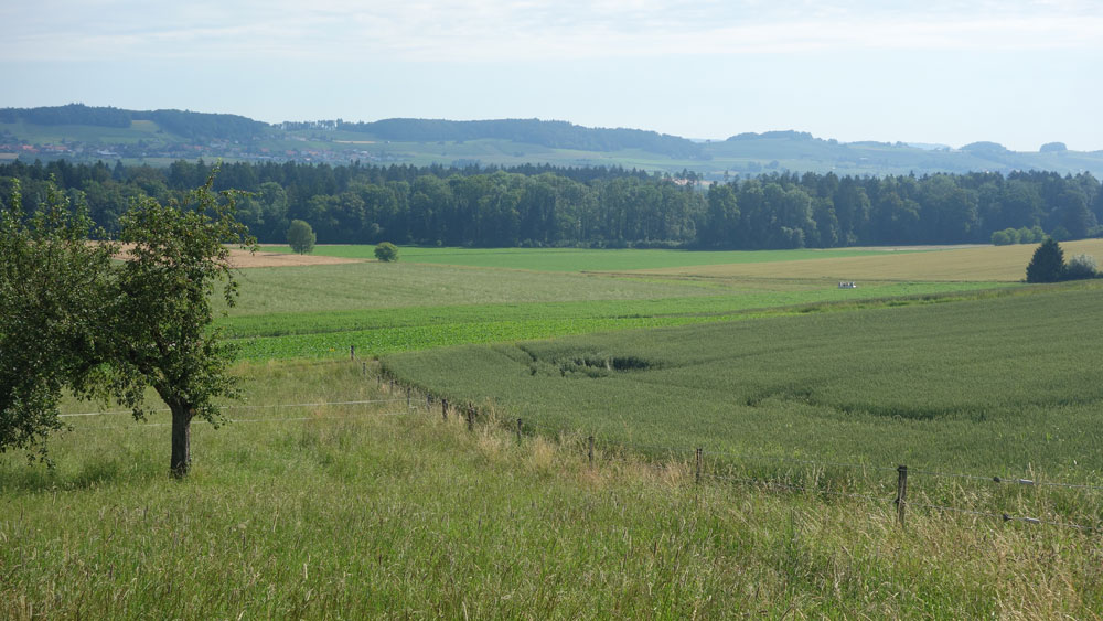Die Umgebung von Thalheim an der Thur ist wunderschön. 