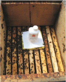 Ameisensäure Behandlung