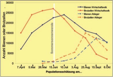 Populationsentwicklung