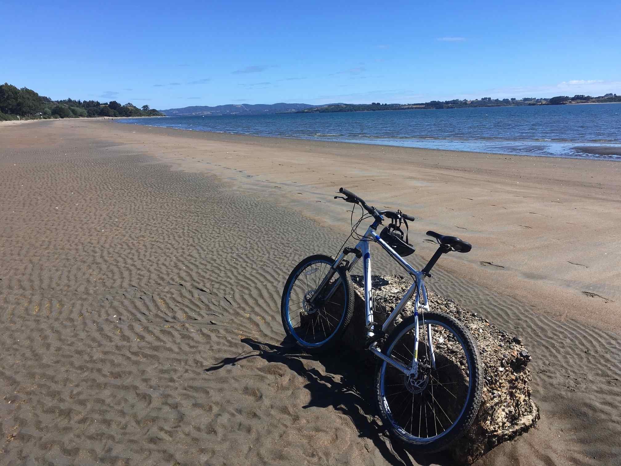 Arriendo de bicicletas