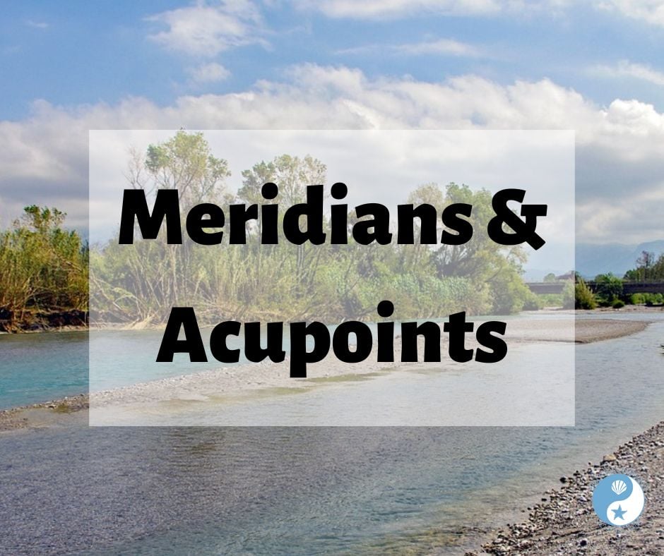 Meridians & Acupoints