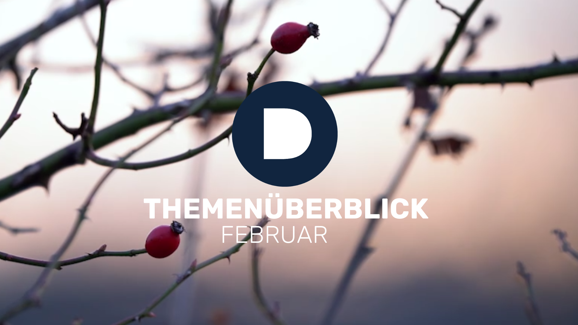 DEMUTH - RECHTSTHEMEN IM FEBRUAR