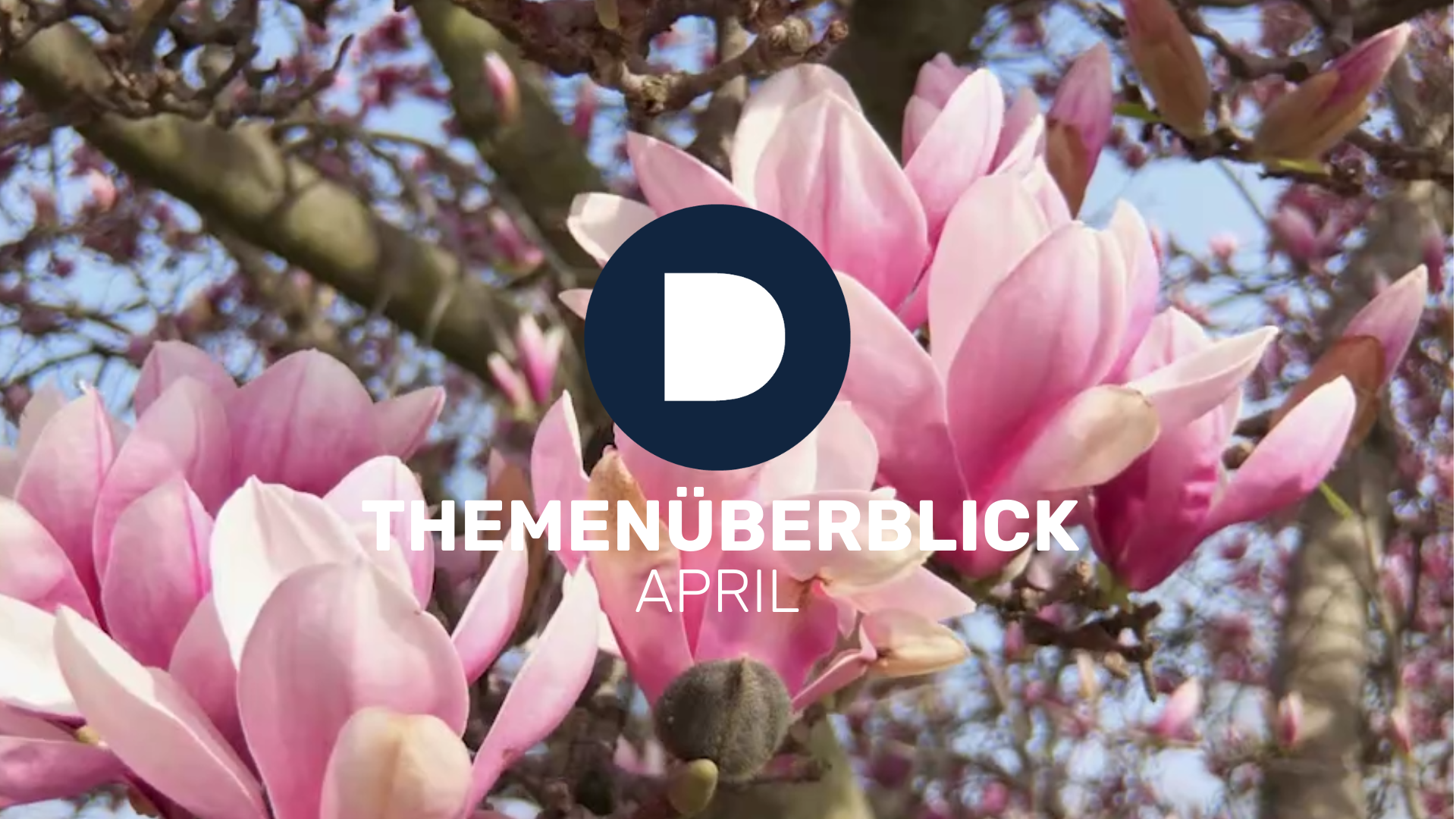 DEMUTH - Fachanwalt für Arbeitsrecht in Potsdam > IM APRIL