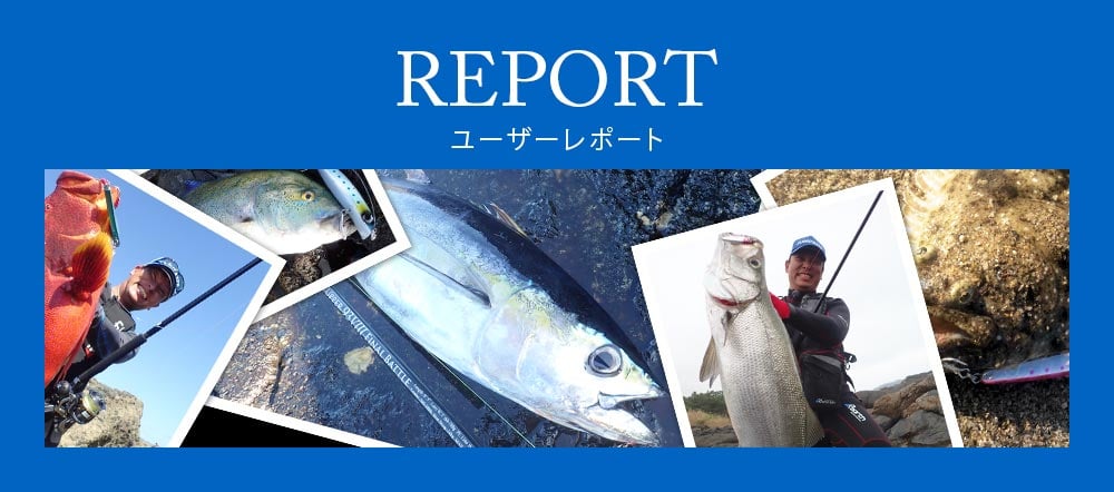 ユーザーレポートご紹介
