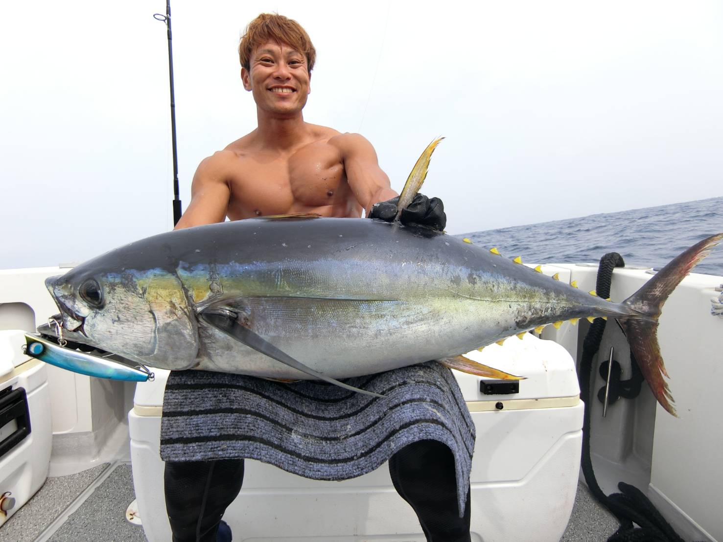 オフショア：キハダマグロ