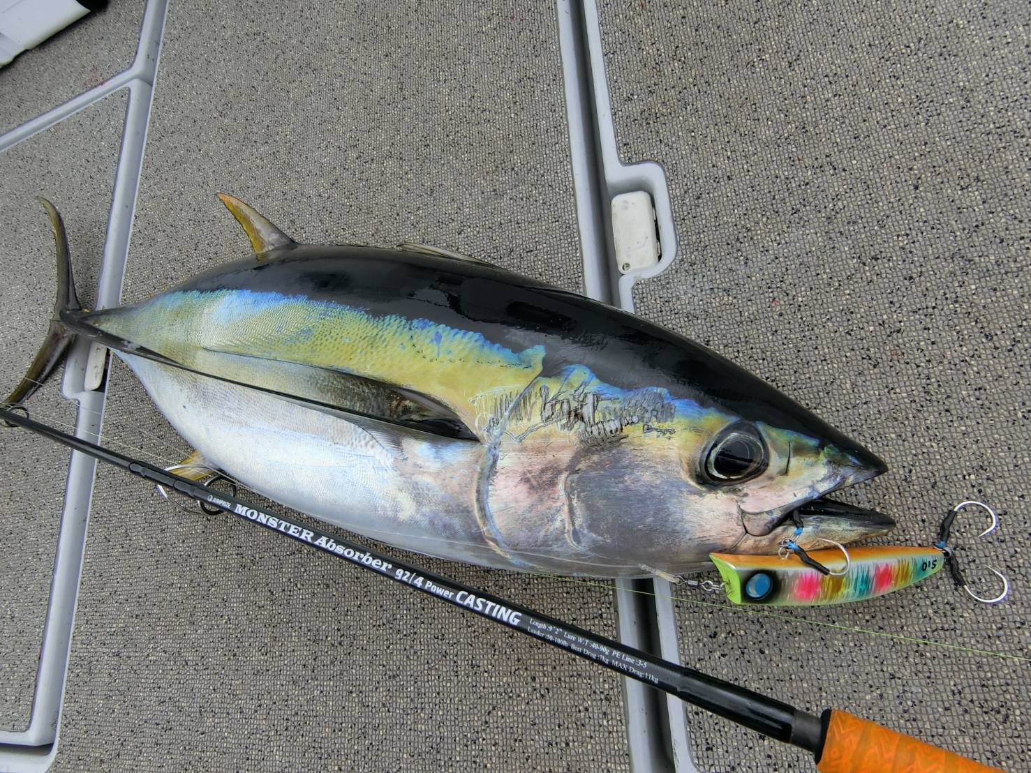 オフショア：キハダマグロ