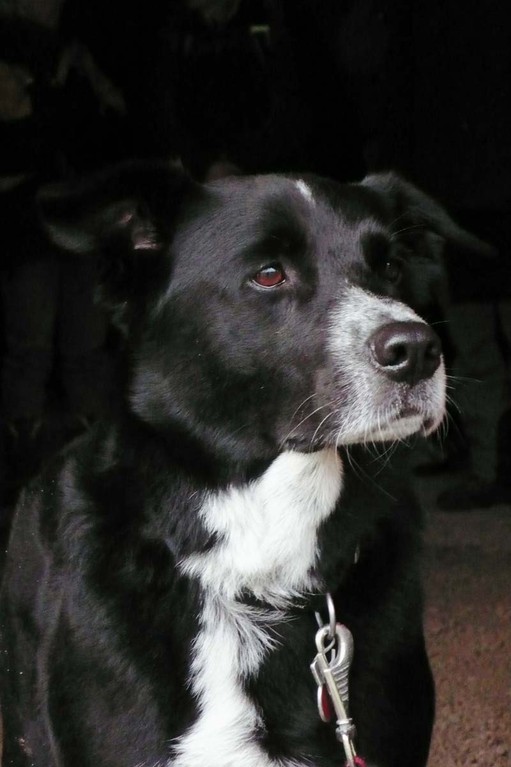 Saisonbeginn 16.04.12