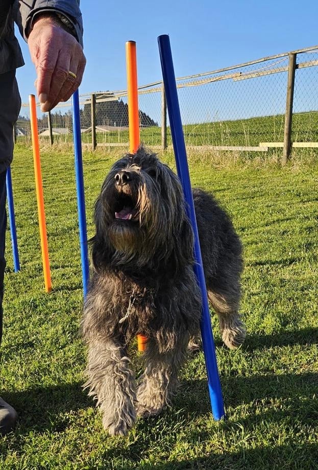 Saisonstart 7.4.2025 - Plausch-Gruppe