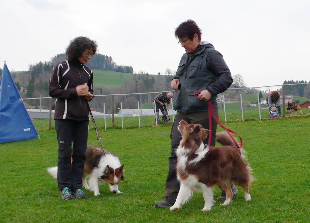 Saisonbeginn 09.04.18