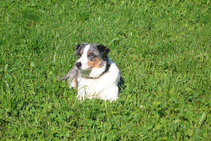 Neue Fotos für Seitenkopf