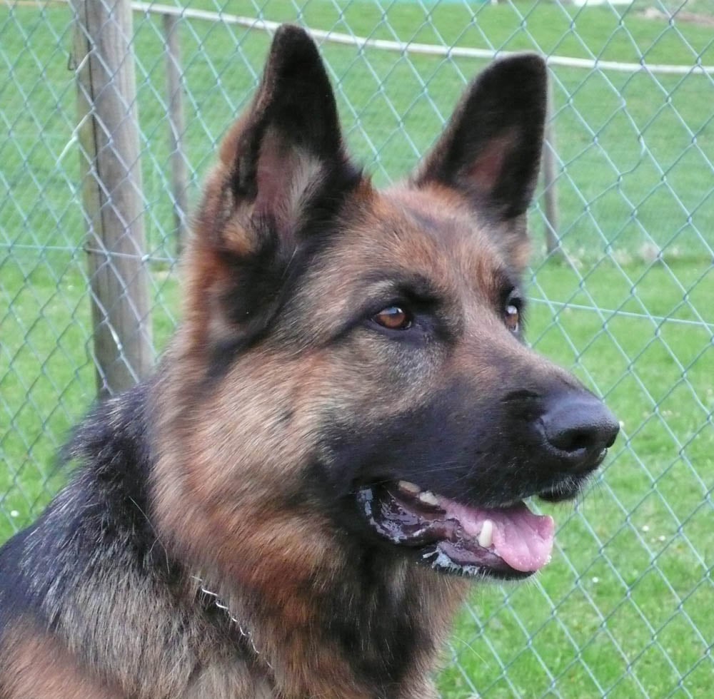 Saisonbeginn 09.04.18