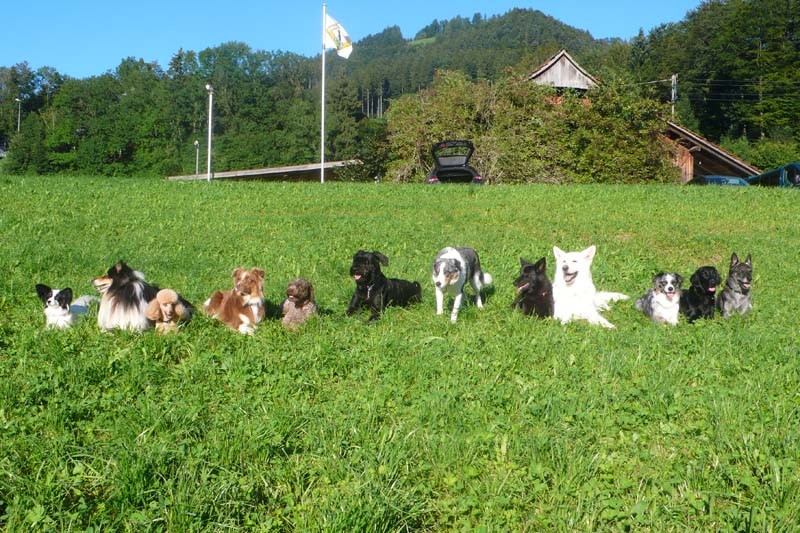 Neue Fotos für Seitenkopf