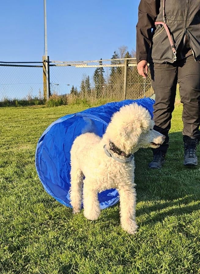 Saisonstart 7.4.2025 -  Plausch-Gruppe