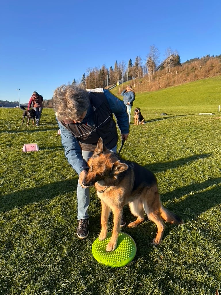 Saisonstart 7.4.2025 - BH Plausch-Gruppe