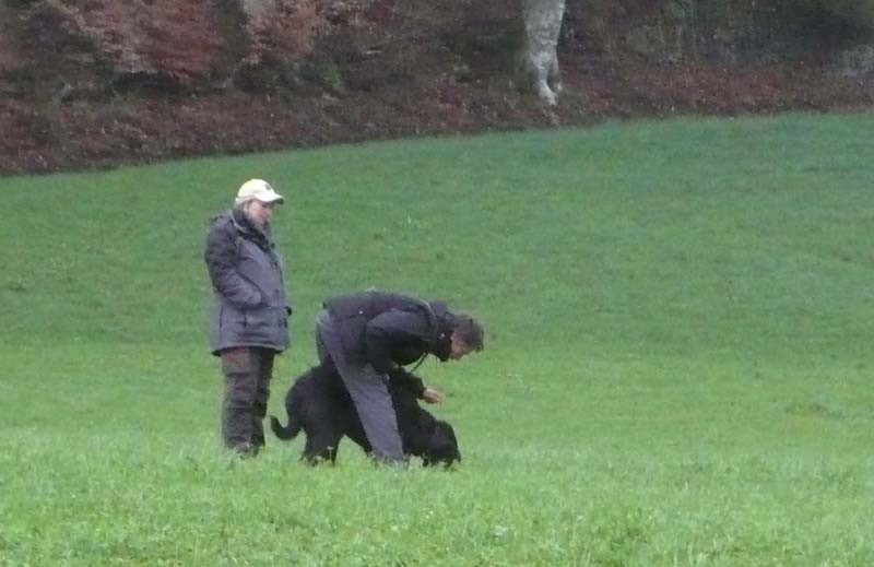 Saisonbeginn 16.04.12 Fährten