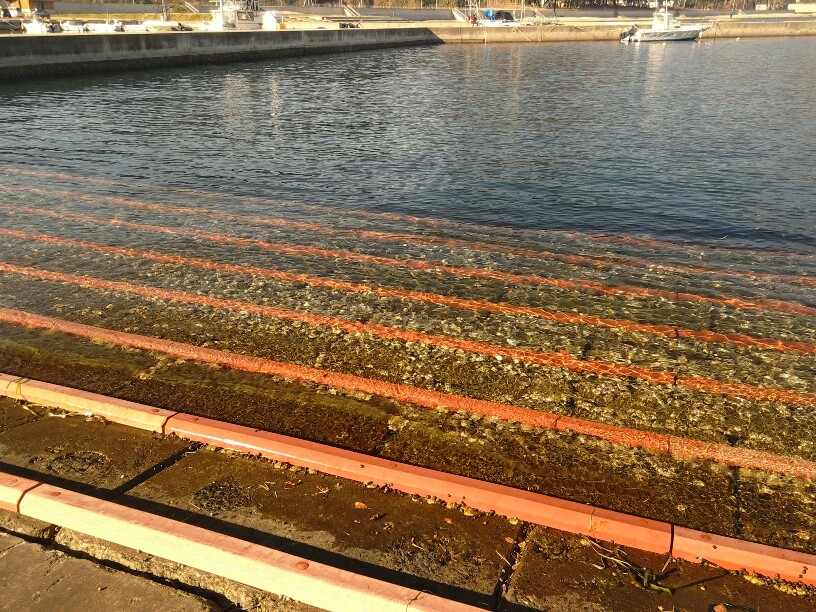 タレックスレンズで見た景色