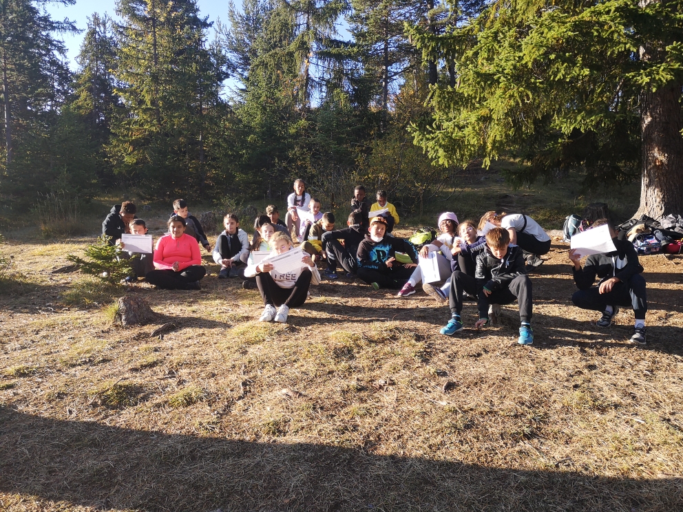 Jour 4 : activité traces des animaux 