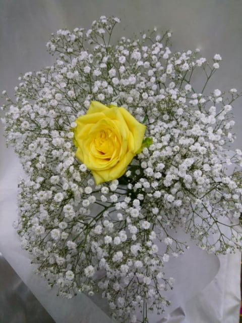 岩本蓮加様宛花束