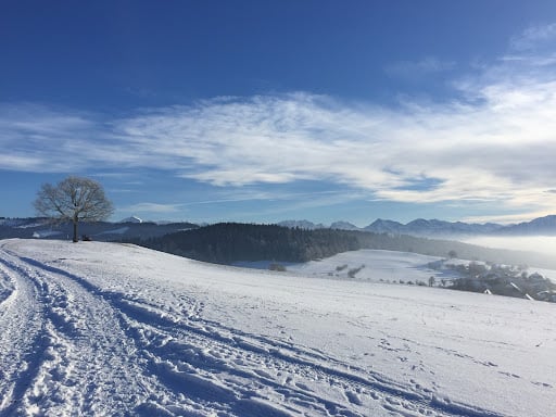 Foto by Dorfverein Häutligen