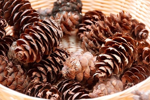 Die Adventszeit - der 28 Tage-Prozess