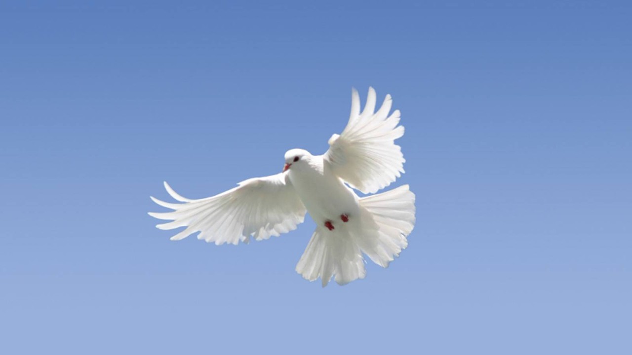 God sent His Holy Spirit to bring us the truth but someone will have to hear and speak for Him.