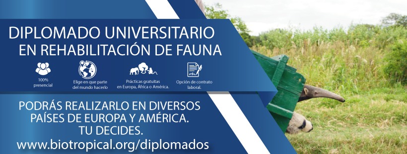 El Diplomado se puede realizar completo en diferentes países de América, como Ecuador, México o Perú y en Europa, en España. O bien alternar un módulo en un continente y las prácticas en otro.